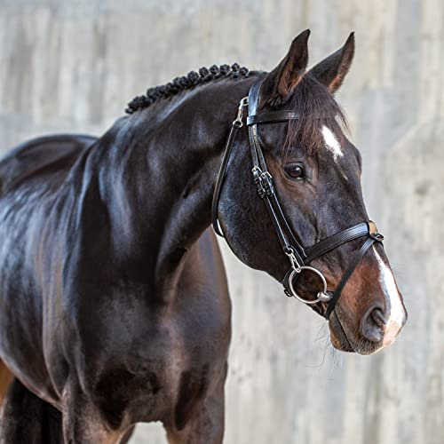 SUNRIDE Englisch kombinierte Trense für Pferde (Berlin) - mit Zügeln - weiches Echtleder - extra Polsterung - anatomisch, verstellbar - Click&Ride - handgefertigt - rostfrei - schwarz (Pony)