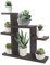 Yuhtech Piccolo supporto da tavolo per piante grasse a 7 livelli, mensola in legno per piante, organizer da scrivania per esterni, giardino, balcone, patio