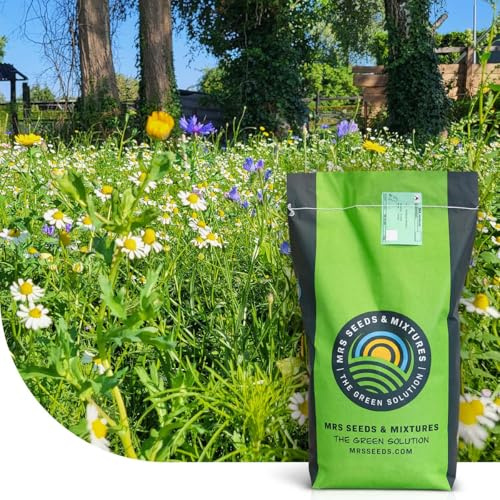 MRS Flower Field : Semences de gazon avec fleurs - 2 kg pour 400 m² - Pelouse diversifiée avec 29 fleurs sauvages - Attire abeilles et autres pollinisateurs
