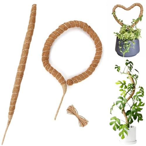 Monstera Lot de 2 poteaux de support pour plantes grimpantes en fibre de coco pour plantes grimpantes - Pour plantes en pot Monstera - 64 cm
