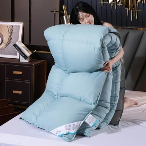 Feder Daunendecke, Winter Warm Sommer Weich gesteppt Daunen Alternative Bettdecke, Warm Hotel Stil Bettdecke, Dicker Winter Bettdecke (A,180 * 220cm/3kg)