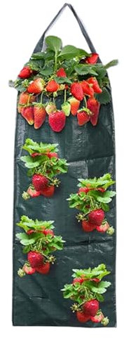 Qidures Pflanzsack, Erdbeer Pflanzbeutel Zum Aufhängen, Hängend Erdbeeren Pflanztaschen Mit 8 Löchern, Hängend Pflanzbeutel Mit Griffe Für Draussen, PflanzbeutelTomaten Umgedrehter Für Blumen Tomaten