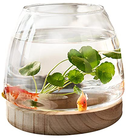 PW TOOLS Mini Aquarium, Bocal À Poisson en Verre, Petit Aquarium Rond en Verre Transparent avec Base en Bois, Vase pour Hydroponique, pour Décoration De Bureau À Domicile