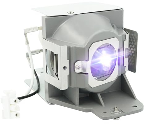 iReijomoi Replacement Lamp MC.JFZ11.001 RLC-079 Bulb with Housing for ACER H6510BD,for VIEWSONIC PJD7820HD PJD7822HDL Projectors