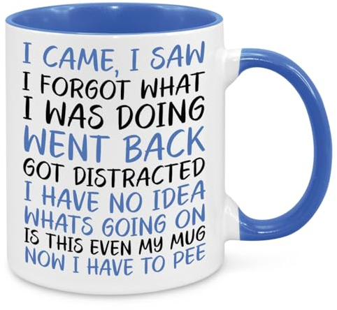 I Came I Saw I Forgot Mug - Funny Novelty Gift Silly Present Mugs for Women Birthday Christmas for Mum Dad Friend Sister for Men Colleague Secret Santa Work Quotes (Blue)
