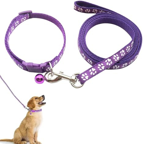 Hundehalsband und Leine Set für Kleine Hunde, Bequem Verstellbar, Welpenhalsband, Lila