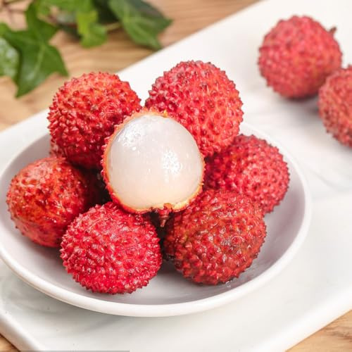 litschi bio säulenobst büropflanzen zwergobstbäume winterharte kübelpflanzen balkonpflanzen winterhart pflanztöpfe obstbäume spalierobst pflanzensamen obstpflanzen 10samen