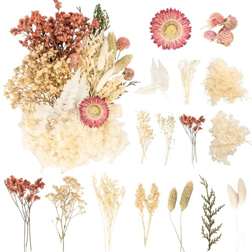 LAUMOE Trockenblumen Weiß - Getrocknete Blumen zum Basteln, Deko Mehrblütige Version für Kunst und Dekoration