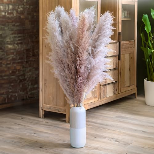 Leisure Life® | 8X Erba della Pampa grande 113cm | palette di colori viola naturale | fiori secchi XXL per attirare l'attenzione in casa vostra | fiori super soffici | inclusa guida alla decorazione