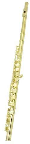 Professionelle Querflöte 16 Geschlossene Löcher C-Ton-Flöte Kupfernickel-Flöte Holzblasinstrument Mit E-Tonart-Etui Handschuhe Flötenteile & Zubehör(Gold B)