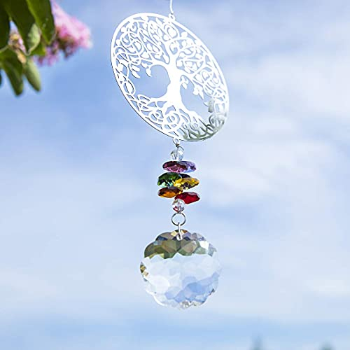 H&D HYALINE & DORA Acchiappasole arcobaleno in cristallo a forma di albero della vita, da appendere, in vetro, per decorazione della finestra