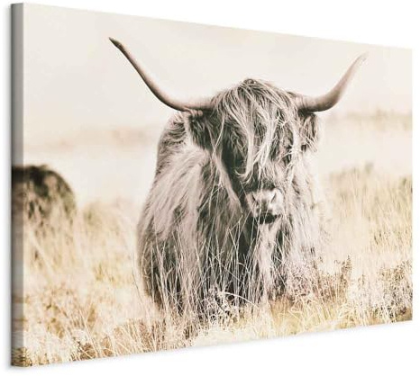 murando - Akustikbild Hochland Kuh Natur, Schallschutz, Wohnzimmer, Büro | Verbessert Raumakustik, reduziert Hall, ideal fürs Büro oder Wohnzimmer, hochwertige Verarbeitung, schnelle Montage, stilvoll