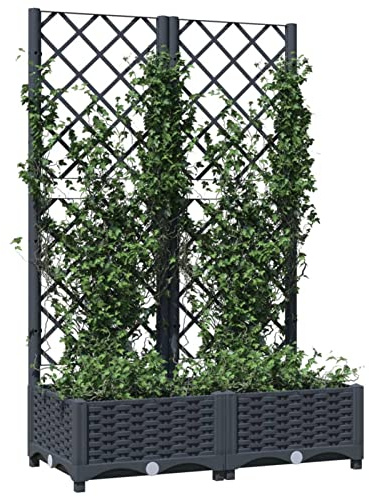 Tidyard Pflanzkübel mit Rankgitter Gartenspalier Pflanzgefäß Rankhilfe Pflanzkasten Blumenkübel Hochbeet Blumenkasten Übertopf Box Rankgitter Spalier Dunkelgrau 80x40x121,5 cm Polypropylen