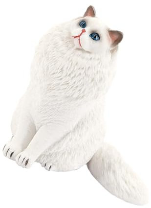 ifundom Katzenmodell Aus Kunststoff Pädagogisches Spielzeug Für Junge Mädchen Kognitives Lernen Heimdekoration Realistische Tierfigur