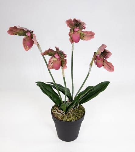 Seidenblumen Roß Orchidee Frauenschuh 42cm FT künstliche Blumen Pflanzen Kunstpflanzen Kunstblumen (Rosa)