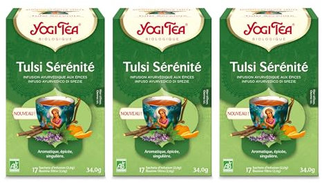 YOGI TEA, Chaï Assam, Thé Bio, Mélange de Thé Noir, Gingembre et Cannelle, 102 (6x17) Sachets de Thé