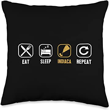 Game Ball Indiaca Peteca Peteca Players Gifts Eat Sleep Repeat Professional Indiaca Peteca Throw Pillow, 16x16, Multicolor