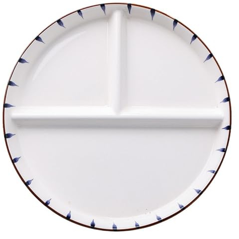 DouYuan Plato dividido de porcelana, platos redondos de 9 pulgadas para control de porciones para adultos, de cerámica, plato de sección de alimentación saludable para postre, ensalada, filete, sushi,