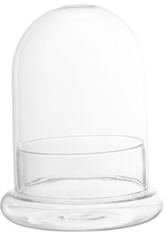 Didiseaon Terrarium en Verre avec Cloche Transparente pour Décoration Intérieure Et Bureau, Grand Format avec Petit Trou, Pot Écologique Stable Et Élégant, Bouteille Plante D'exposition Décorative