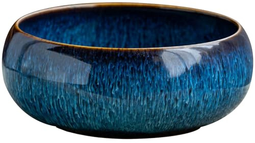 Pitadue Pot de fleurs multifonction en céramique pour plantes aquatiques et plantes grasses avec matériaux à haute température