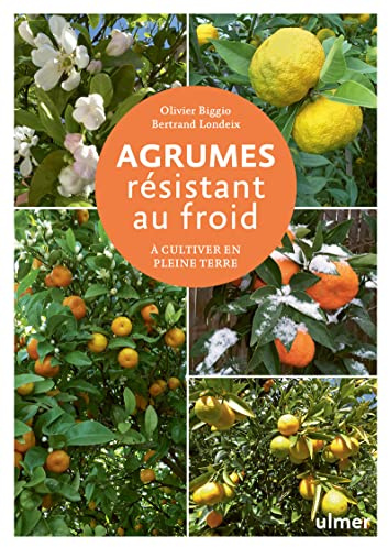 Agrumes résistant au froid - A cultiver en pleine terre: dans toute la France