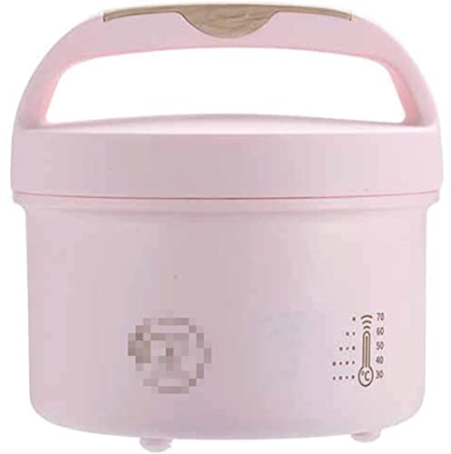 OLOTU Étanches Boîte à Lunch électrique 48 W, Chauffe-Plats pour Bureau de Camion de Voiture, Chauffe-Plats avec récipient Amovible en Acier Inoxydable Électrique