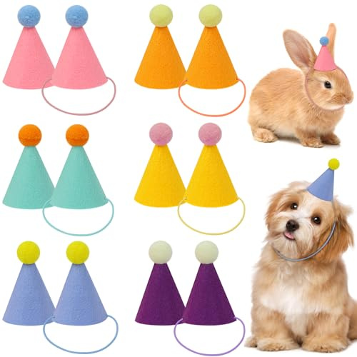 DRANSMIC 12pcs Mini Party Hats for Stuffed Animals, Birthday Party Cone Hats Dolls Dog Cat Rabbit Puppies Assorted Animal Birthday Decorations