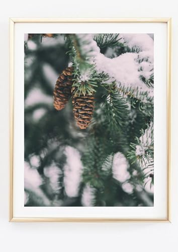 Din A4 Kunstdruck ohne Rahmen - Tannenzapfen im Schnee - Kiefernzapfen Kiefer Tanne Fichte - Foto Winter Weihnachten - Druck Poster Bild