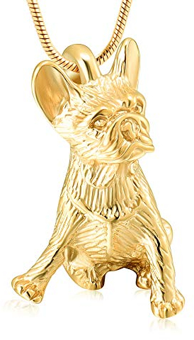 QJZM Urnen-Halskette für Asche, Anhänger für Haustier, Schmuck für Urnenhalter, für Hunde/Katzen, mit Trichter