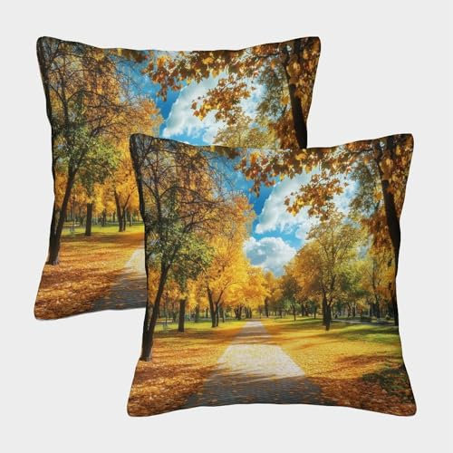 CTAMM 2er-Pack Kissenbezug 40x40cm Deko-Kissenbezug Herbst Deko-Kissenbezug Stadtpark Deko-Sofa-Kissenbezug Mit Muster Passend Für Sofa Wohnzimmer Balkon Garten Auto