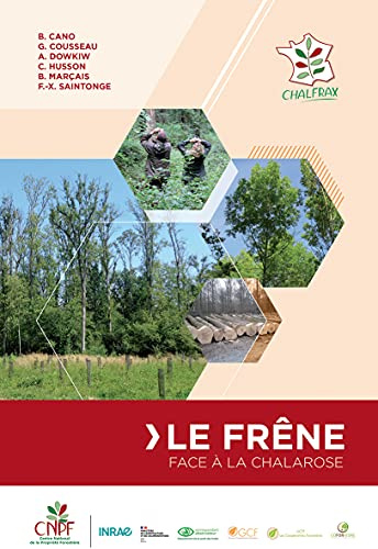 LE FRENE FACE A LA CHALAROSE