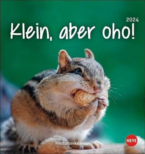 Klein, aber oho! Postkarten-Kalender 2024. Von Igel über Quokka bis Waschbär: Tierkalender zum Sammeln und Verschicken. Kleiner Monats-Tischkalender zum Aufstellen oder Aufhängen.
