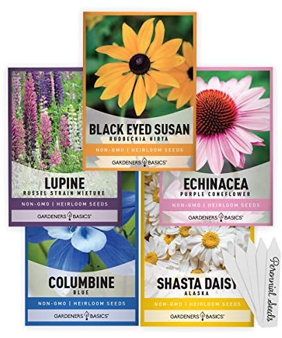 Gardeners Basics, Perennial Flower Seeds for Planting Outdoors (5 Variety Pack) Lupine, Columbine, Echinacea Purple Coneflower, Black Eyed Susan, Shasta Daisy for Pollinators Wildflower Seed