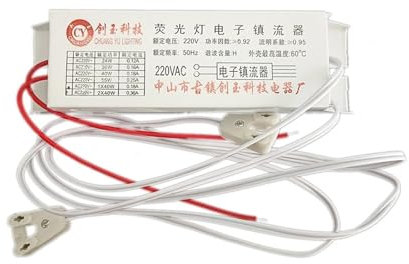 JGGCKNOGG Ballast électronique T8 20w 30w 36w 40w Universel 220V 50Hz, Ballast néon, redresseur de Lampe Fluorescente, 1 Sortie/2 Sorties (Size : 2 Output)