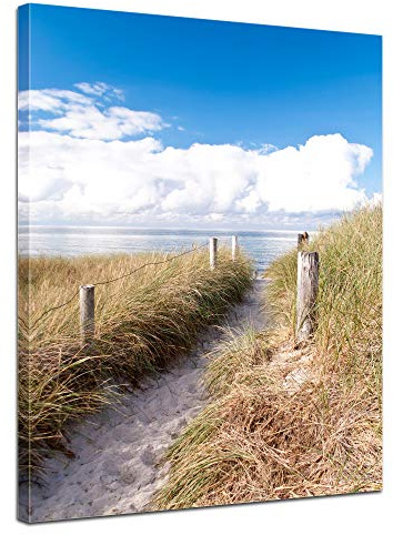 Bilderdepot24 Wandbild - Strandweg - Ostsee 50x70 cm einteilig Hochkant - Leinwandbild Bild auf Leinwand - Strandbild Dünenbild