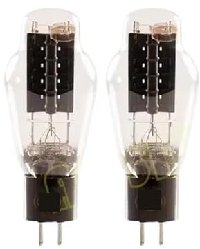 JCQXJJLWN WE300B Röhren-HiFi-Audio-Röhrenverstärker DIY(2PCS WE300B)