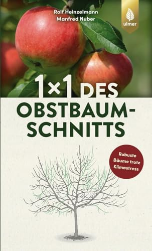 1 x 1 des Obstbaumschnitts: Bild für Bild