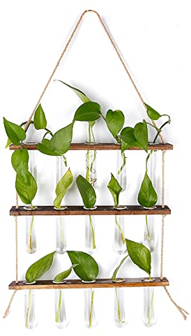 Yokilly Wandbehang Pflanzgefäß mit Holzständer, 3-stufige Pflanzenanzuchtstation mit 15 Reagenzgläsern für Hydrokulturpflanzen Home Office Dekor