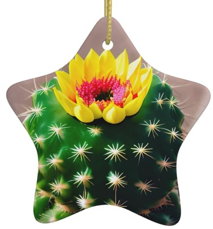 Décoration de Noël en céramique en forme d'étoile en forme de cactus fleuri pour fêtes et célébrations