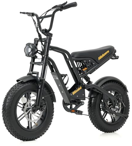 iENYRID Electric Bike for Adults, Hidoes E Bike Bicycles - B6MINI
