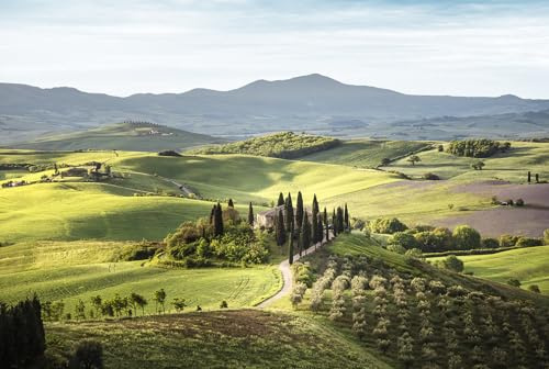 Glasbild Tuscany 80 x 120 cm I Wandbild Bild Glas modern Küche Wohnzimmer Schlafzimmer Badezimmer I Italien mediterran Landschaft Italia Felder Toskana Olivenfelder | XXL groß | verschiedene Motive