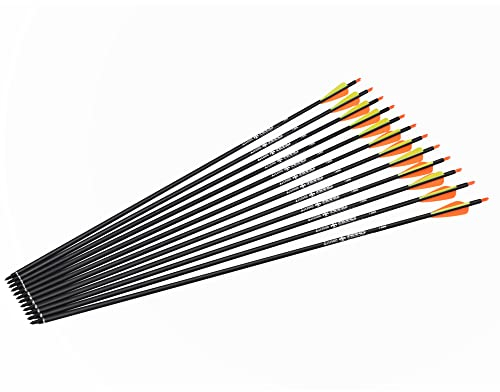 Pfeile 28 30 31 Zoll Carbonpfeile Bogenpfeile Jagdpfeile für Recurvebogen, Langbogen und traditionellen Bogen Zielübung Outdoor Jagd Schießen