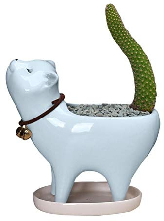 WINBST Übertöpfe Aus Keramik,Schön Katze Schwanz Kaktus Container Mit Ablaufloch Sukkulenten Desktop Dekoration