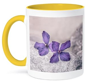 3dRose Delicate clematis flowers in a soft feminine pastel style 15oz Two-Tone Yellow Mug