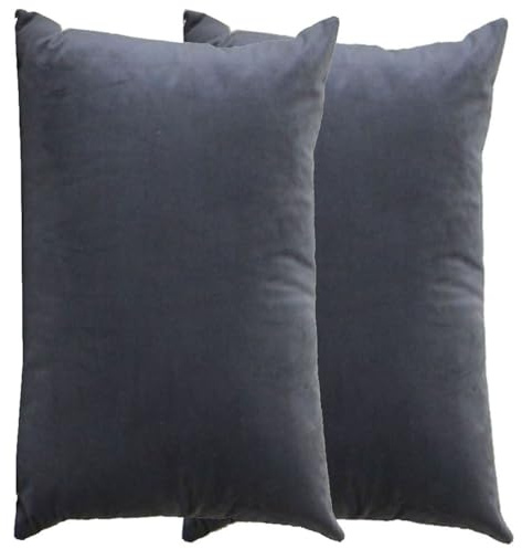 RTSFKFS Kissenbezug 60x80 Kissen 50x70 Bezug Couch Sofa Kissenbezüge Samt 40x60，2er Set Dekokissen Bezug Blau/Grün/Grau,Pillowcase Pillow Cases 40 x 70,Kissen Abdeckung(Q,60x80 cm 2pcs)
