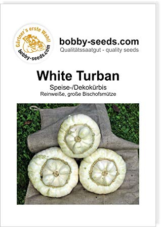 White Turban Bischofsmütze Kürbissamen von Bobby-Seeds, Portion