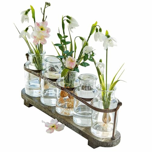 Loberon Vase 5er Set Ranjo, braun/klar | Vintage-Design, Kunstreich Gearbeitetes Gestell, Dekoration, Blumenvase, Tannenholz, Eisen, Glas