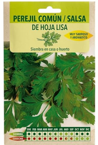 Semillas de Perejil para Cocina y Huerto Urbano – Cultivo Fácil en Maceta DECOALIVE