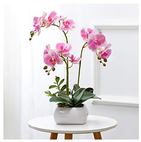 SIBEG Künstliche Blumen-Orchideen im Topf – lebensechte künstliche Phalaenopsis-Sträuße, Dekoration mit Keramikvase, realistische Schmetterlings-Orchideen-Bonsai für Büro/Wohnzimmer/Party/Rosa (Pink)