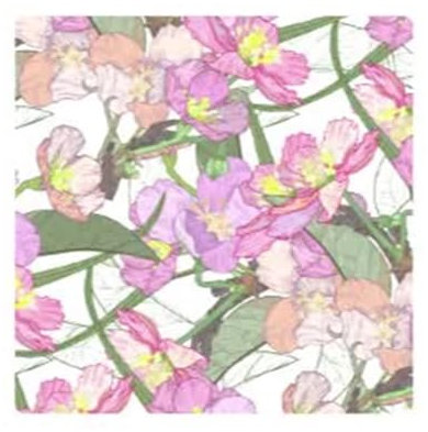 Lot de 2 chiffons en daim pour lunettes, lentilles, écrans de téléphone - Rose/Iris/bégonia/marguerite - 15 x 15 cm - Noir